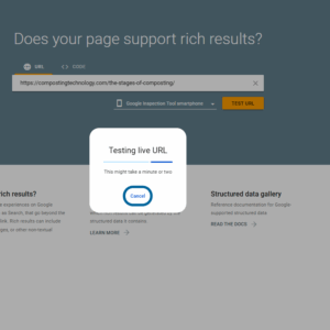 Video Pages and Google AI